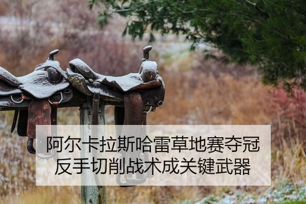 a-er-ka-la-si-ha-lei-cao-di-sai-duo-guan-fan-shou-qie-xiao-zhan-shu-cheng-guan-jian-wu-qi-2-377.jpg
