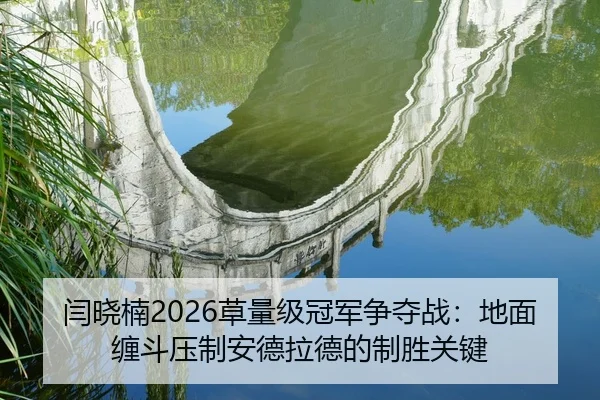 闫晓楠2026草量级冠军争夺战：地面缠斗压制安德拉德的制胜关键